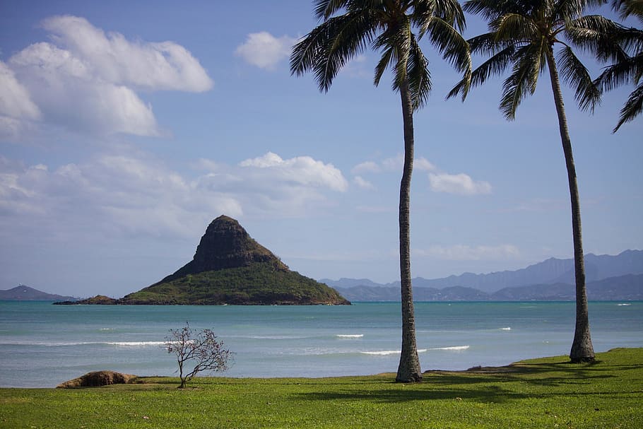 hawaii-oahu-beach-ocean