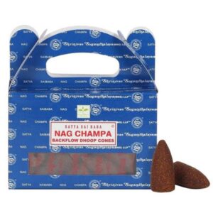 backflow_champa
